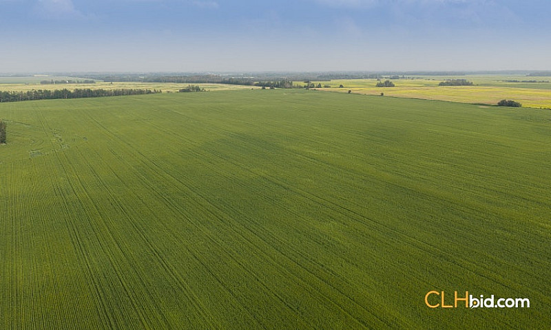 169 Acres Farm Land ...