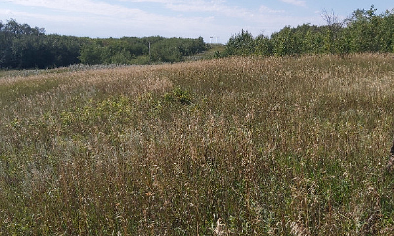 Land For Sale...