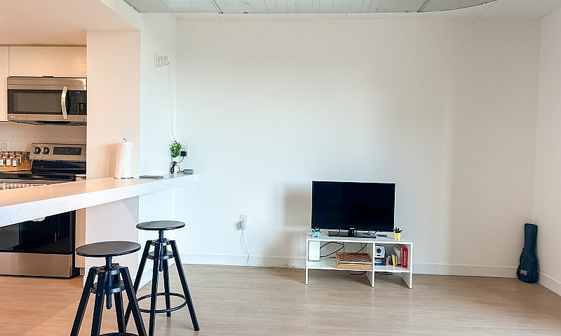 2 Bedroom Downtown A...