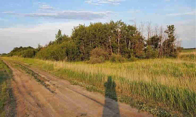Land For Sale Near S...