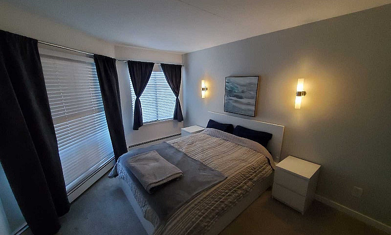 Downtown Furnished 1...