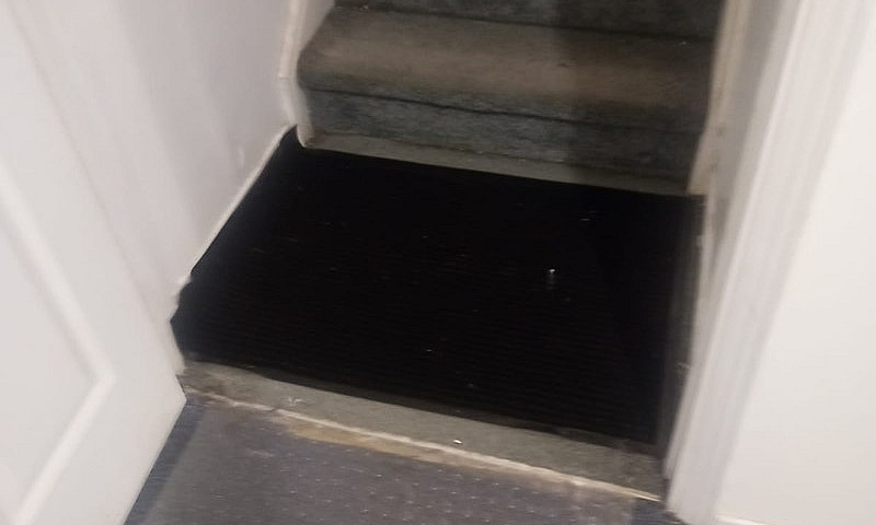 One-Bedroom Basement...