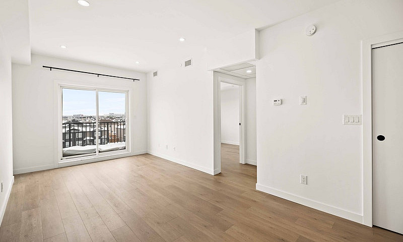 Luxury 2 Bedroom Apa...