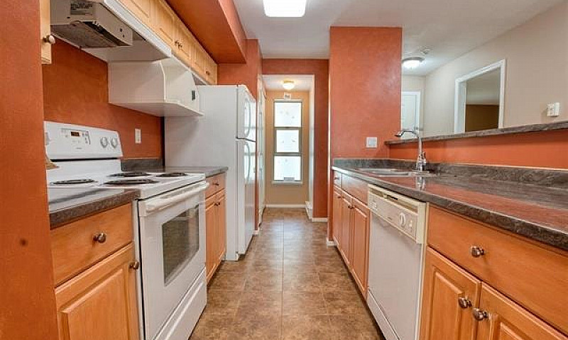 1 Bed + Den Maple Ri...