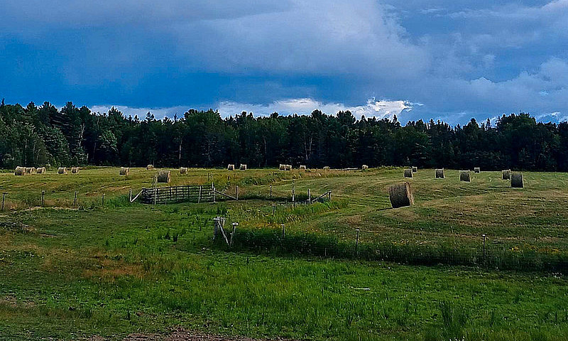 Farm For Sale Huron ...