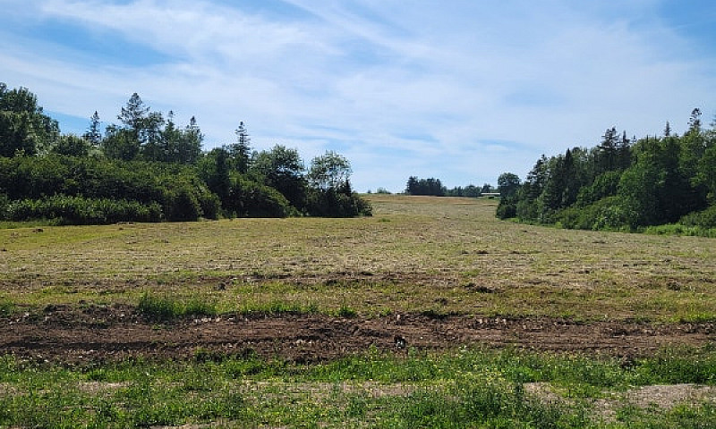 Lots Elliott Rd, Sou...