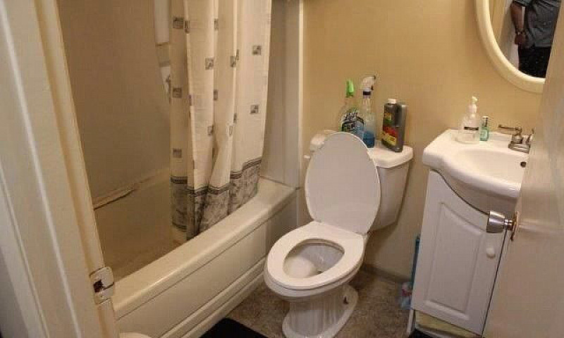 Bach, 1 Bdrm And 2 B...