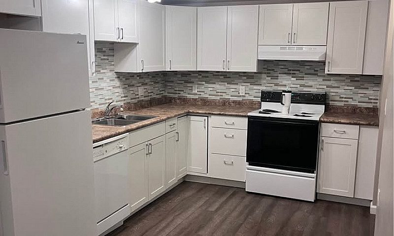 2 Bed, 1 Bath Baseme...