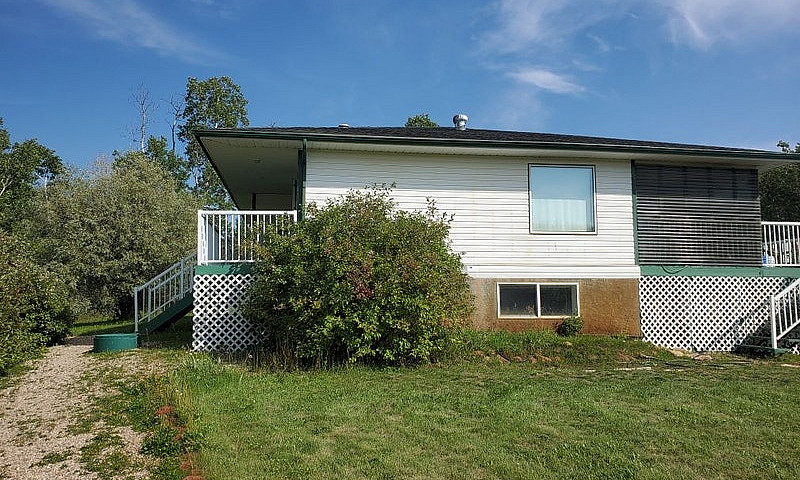 For Rent, Basement S...