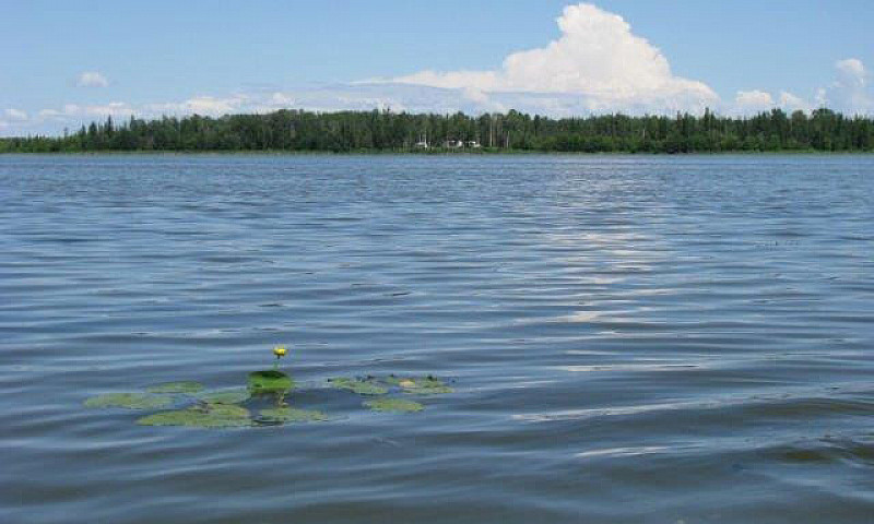 Rv Lot At Lake Arnau...