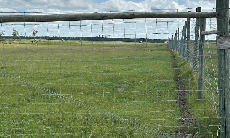 40 Acres For Sale...
