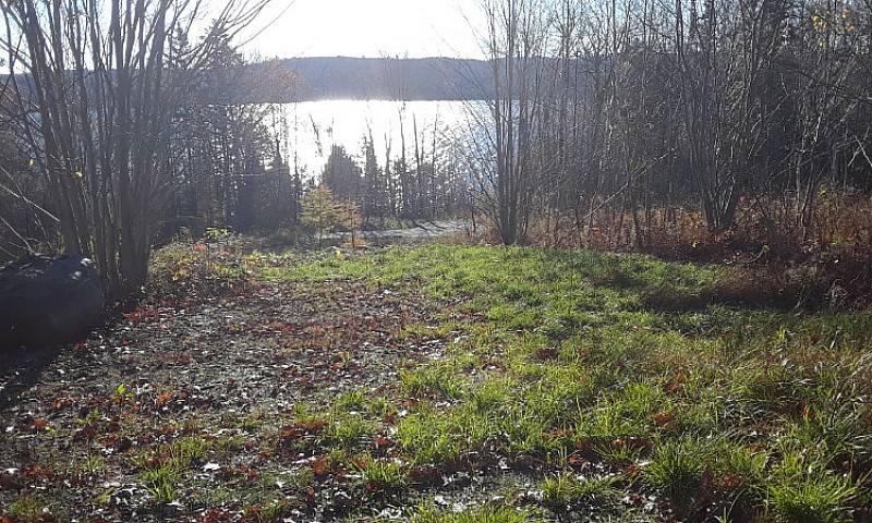 Land For Sale...