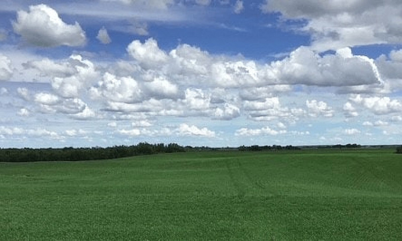 1,085 Acres For Sale...