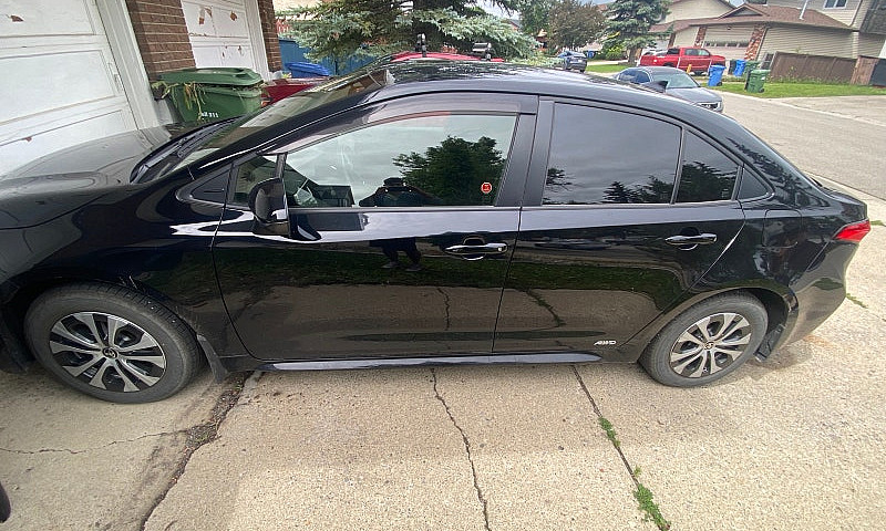 Toyota Corolla 2023-...