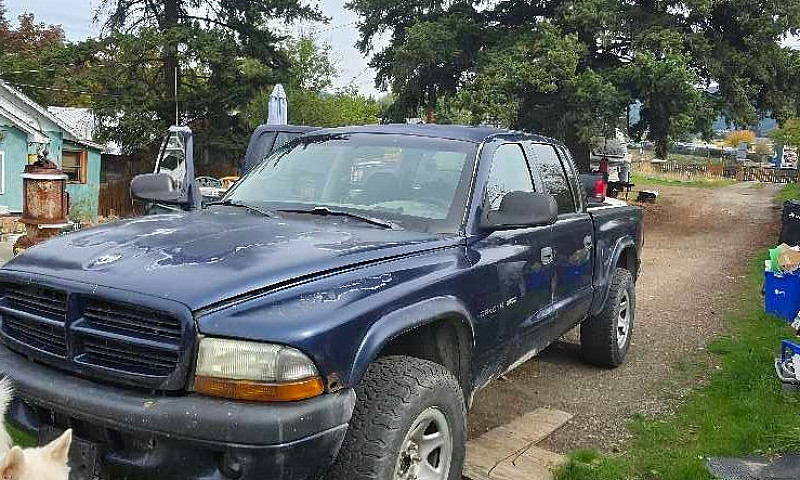 2002 Dodge Dekota Sp...