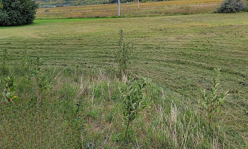 Lebret 4 Lake View L...