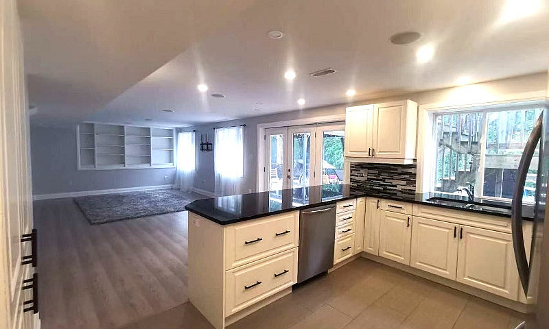 Spacious Walkout Apt...