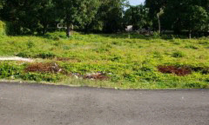 Land For Sale In Jam...