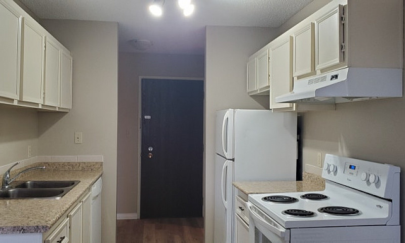 One Bedroom Apartmen...