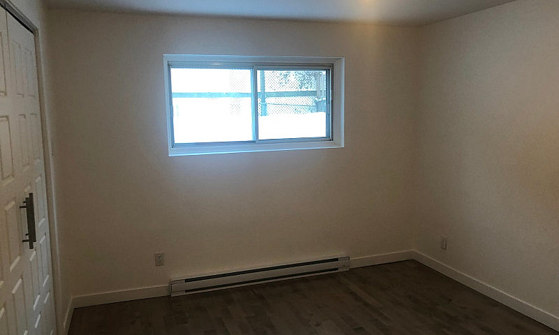 Renovated One Bedroo...