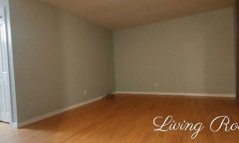 Clean, Spacious, 3 B...