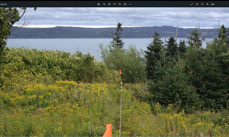 Bell Island Land In ...