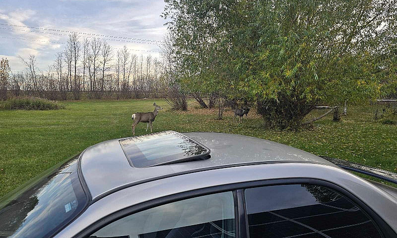 2007 Subaru Impreza ...