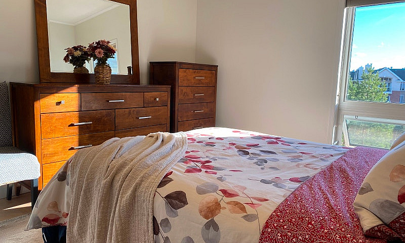 Furnished Luxury Con...
