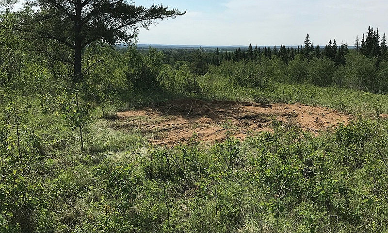Versatile Land For S...