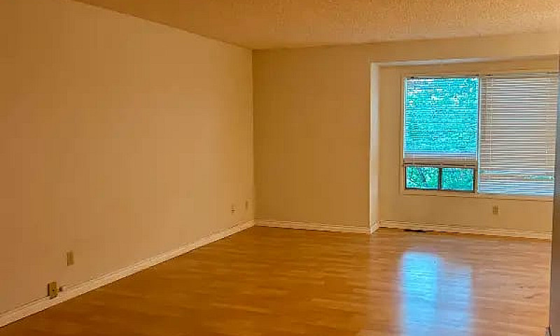 2 Bedroom Suite In R...