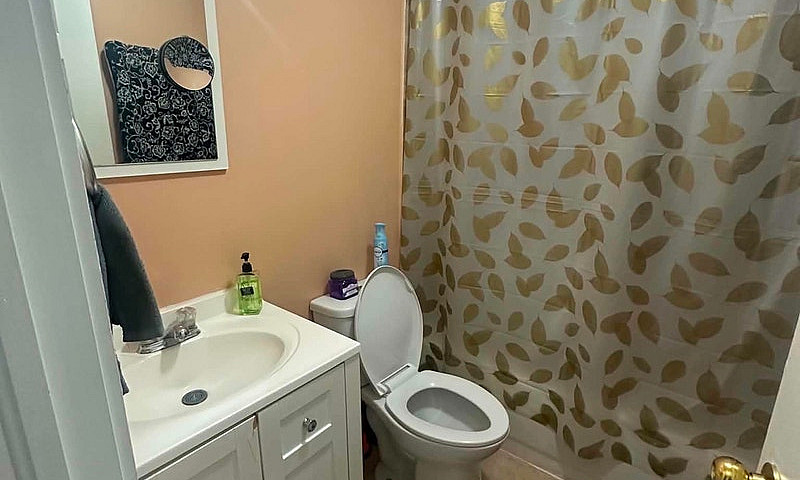 Female Furnish Room ...