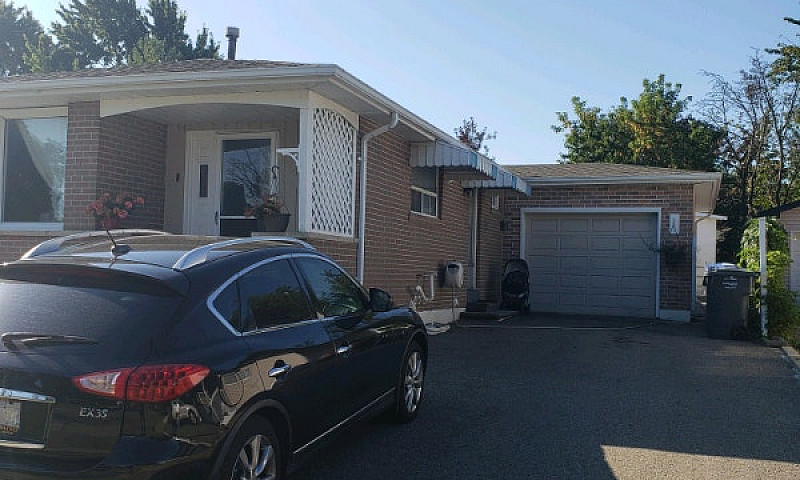 2 Bedroom Basement A...