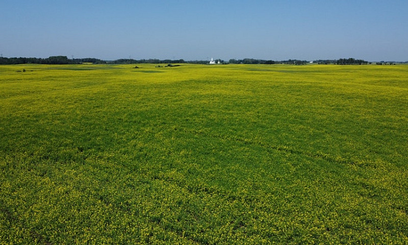 160 Acres For Sale M...