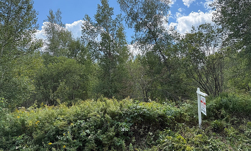 New 4.4 Acre Lot In ...