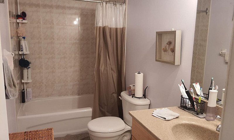 Furnished One Br Wal...