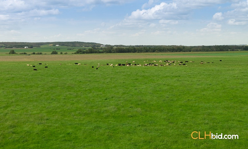 160 Acres Farm Land ...
