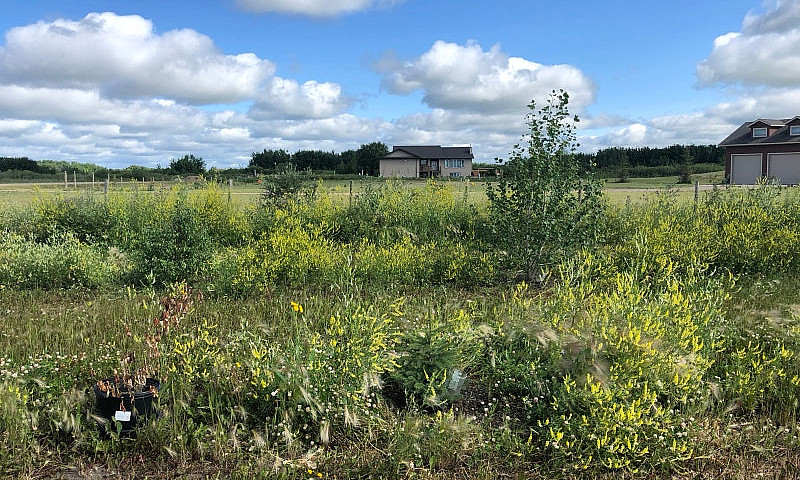 Acreage Minutes From...