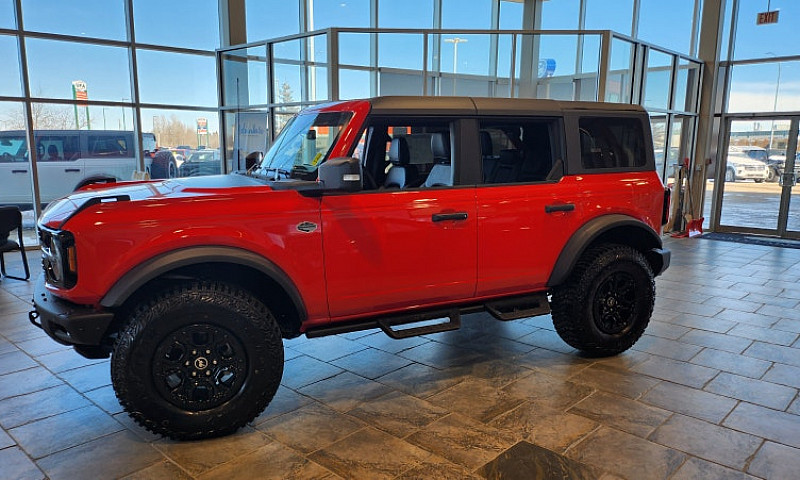 2024 Ford Bronco Wil...