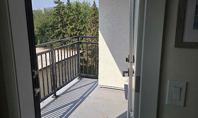 1 Bedroom Apartment ...