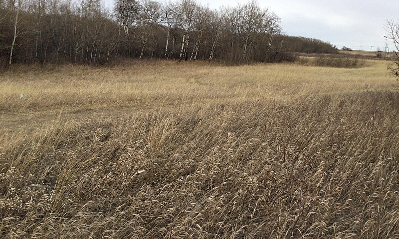Acreage Land For Sal...