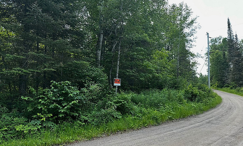 12 Acre Building Lot...