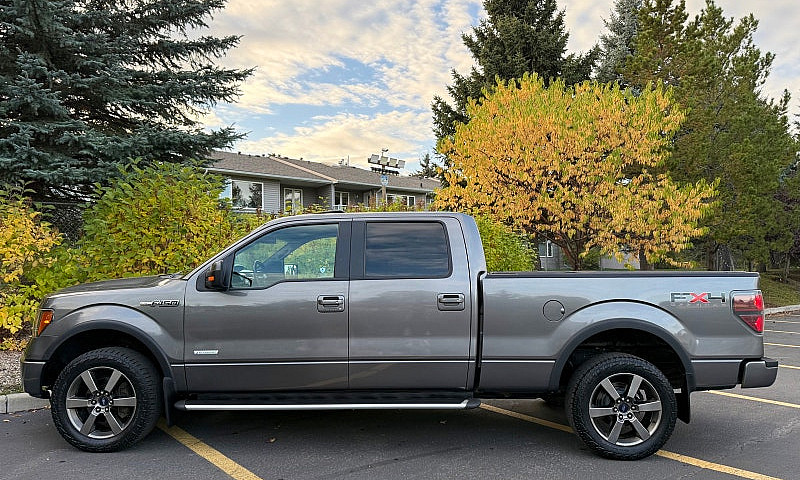 2011 Ford F150 Fx4 C...
