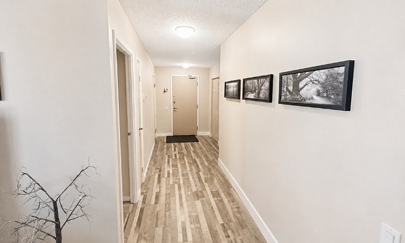 Apartment For Sale F...