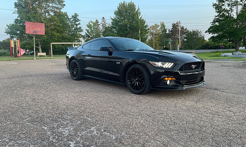 2015 Mustang Gt Pp1 ...