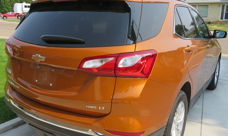 2019 Immaculate Equi...