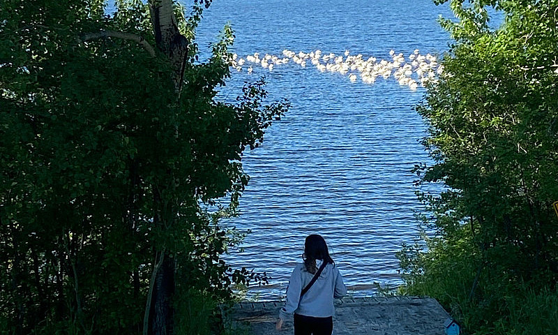 Lakefront Lot At Dix...