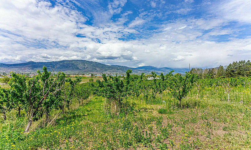 7479 45 St, Osoyoos,...