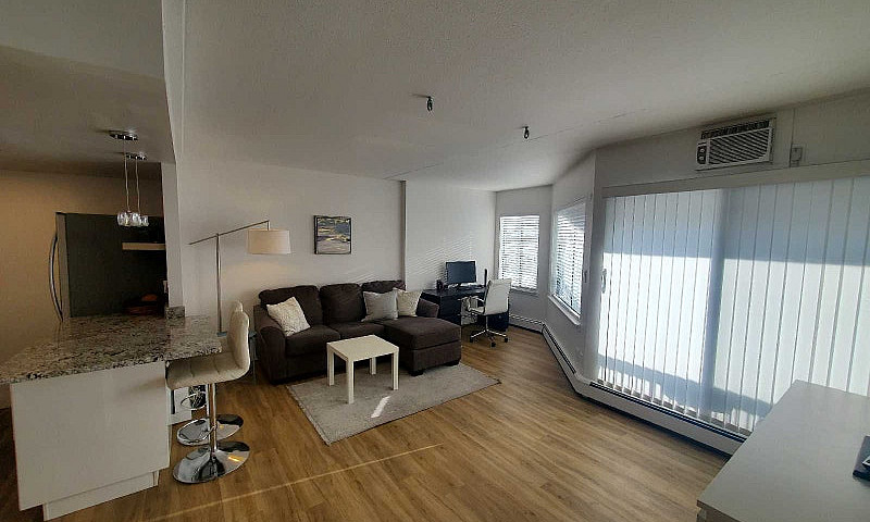 Downtown Furnished 1...
