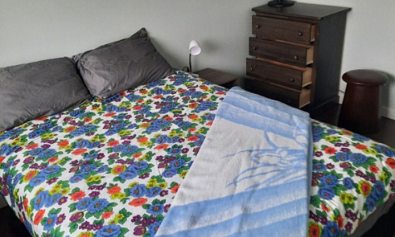 Room For Rent In Ste...