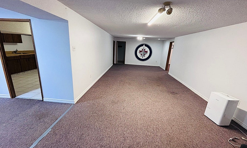 Full Basement For Re...